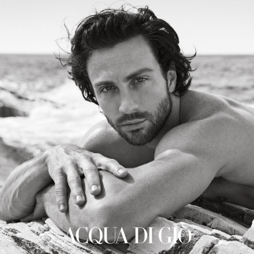 Acqua Di Gio Homme - Eau de Parfum Armani Parfum